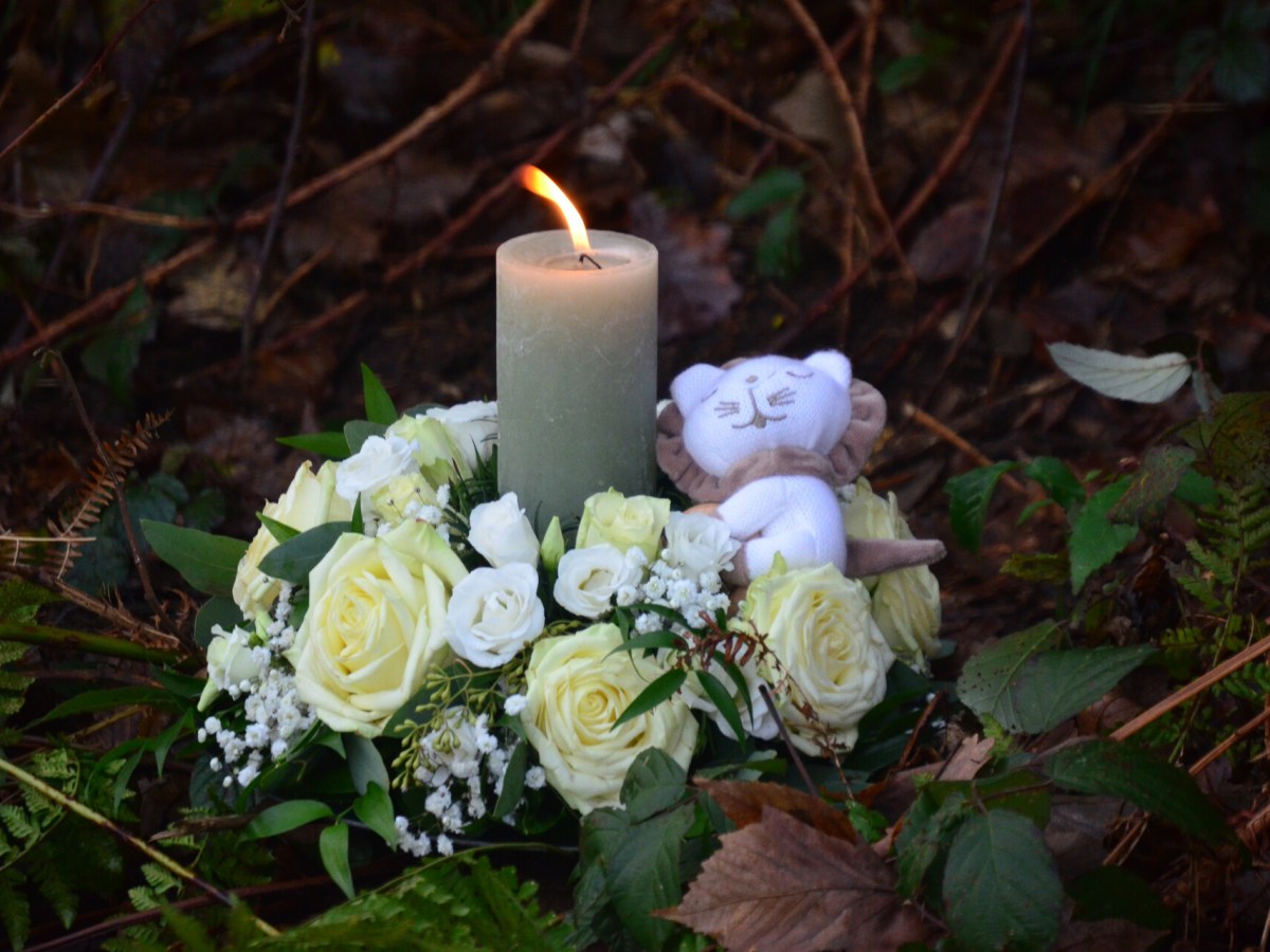 Mijn Reis van dieptepunt naar zelfacceptatie en&nbsp;Levensgenieter