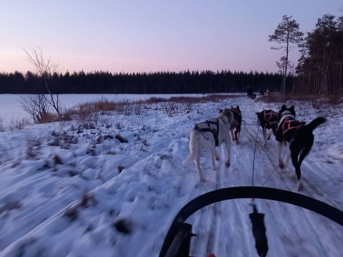 “Santa Claus Village” in Fins&nbsp;Lapland