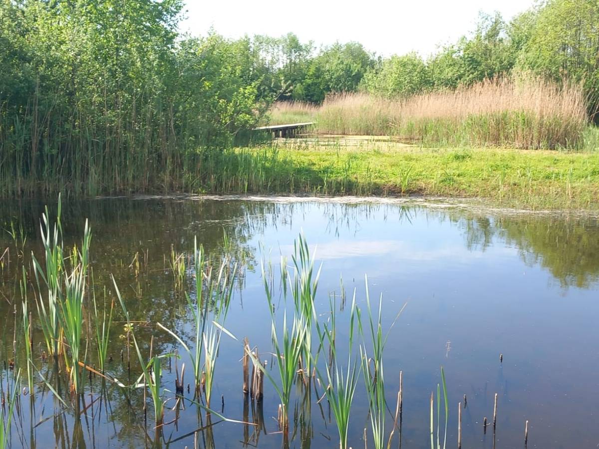 The Green Border Walk: A Unique Journey Through Dutch&nbsp;Nature